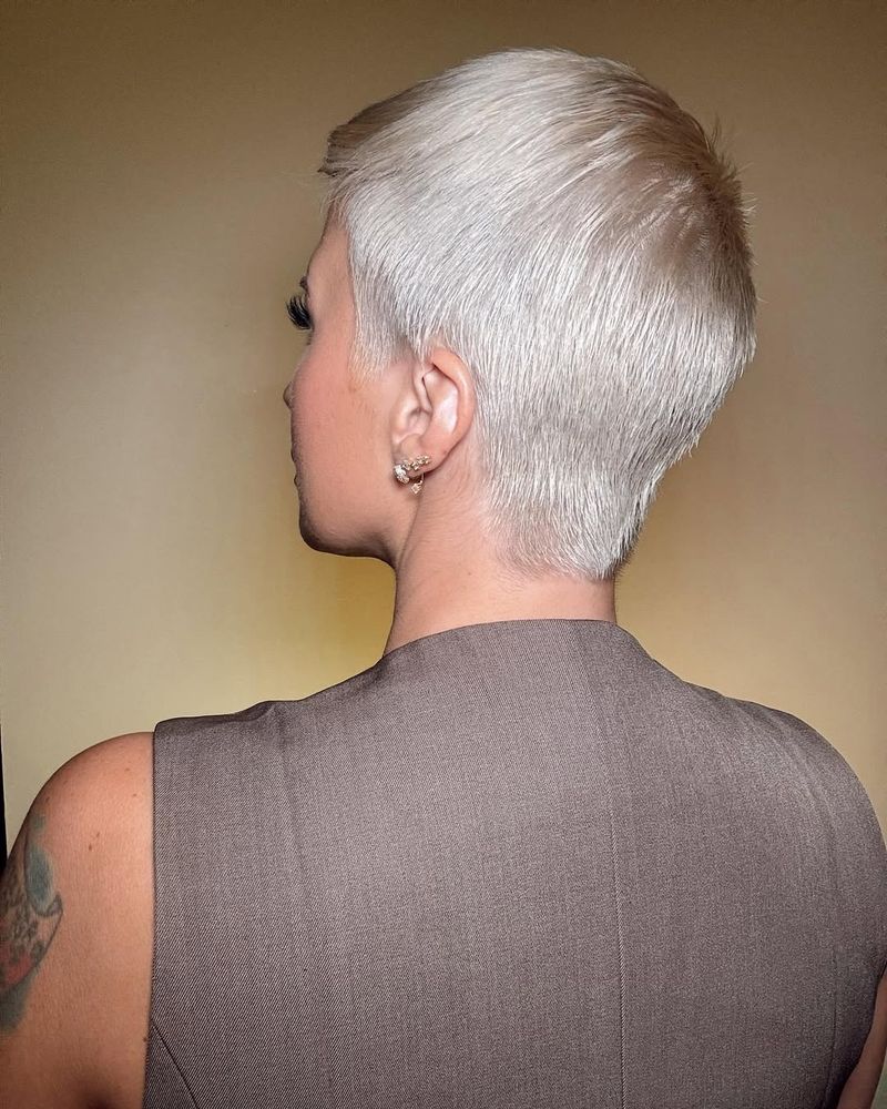 Pixie Cut with Silver Edges