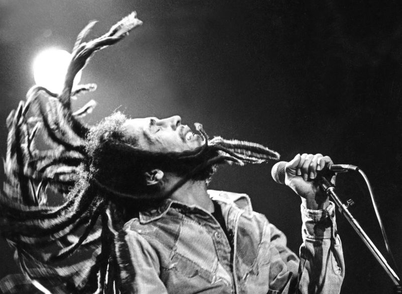 Bob Marley's Dreadlocks