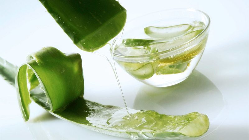 Aloe Vera Treatment