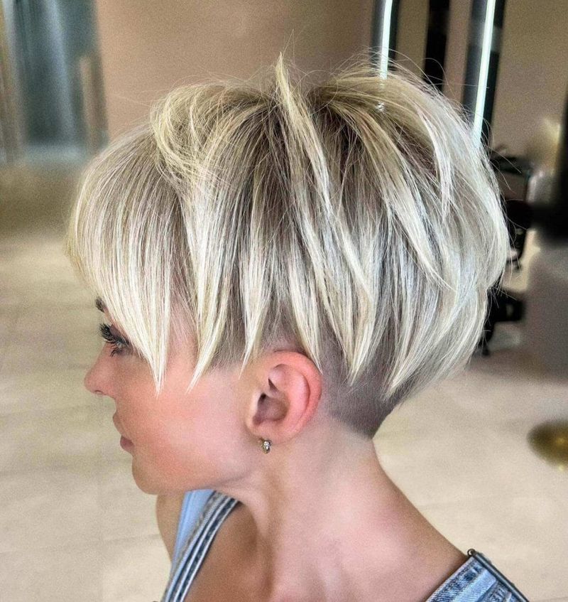 Platinum Pixie Bob with Undercut